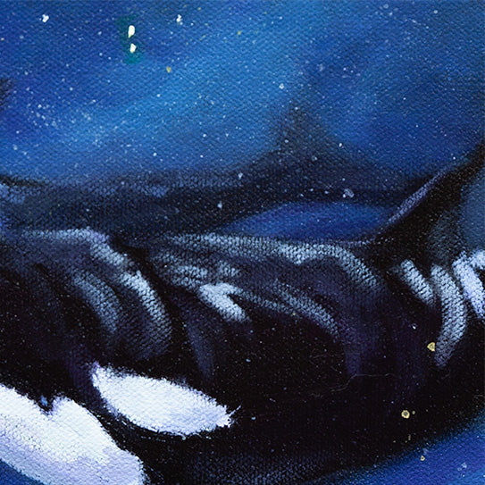 Close-up detail of an orca with black and white markings swimming across a starry night sky in the ocean fine art painting The Night Swims Above Us.