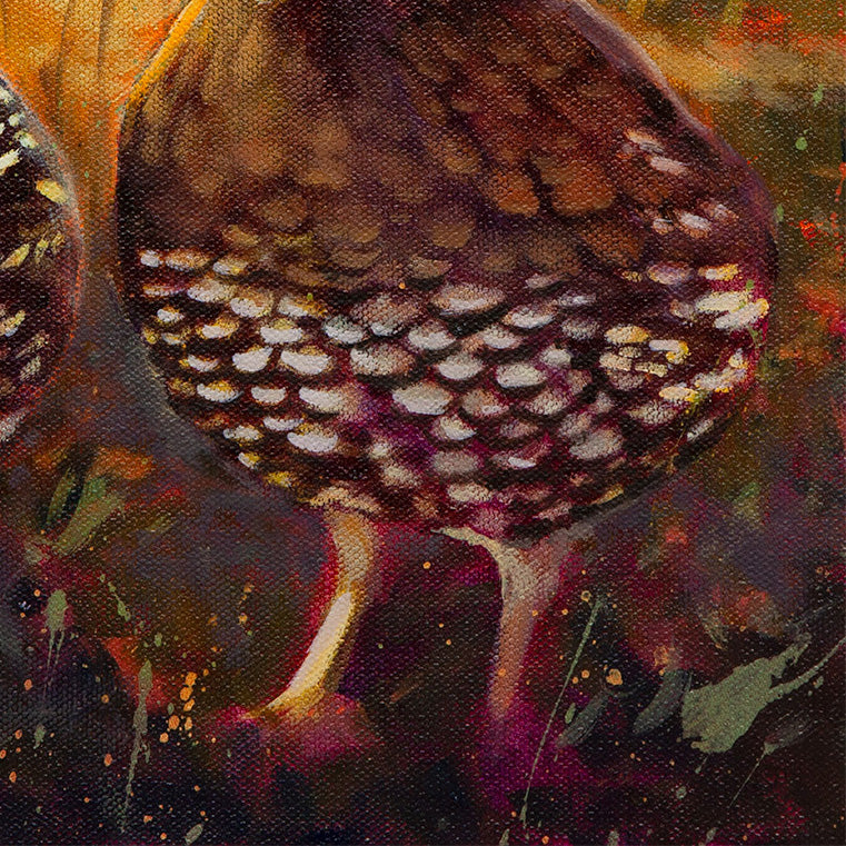 quail tail feathers highlighted by warm sunset light, soft natural tones, oil painting detail