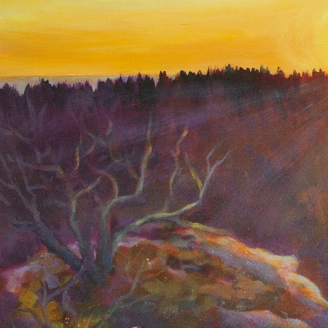 Detail of dry bush on orange rock with purplish background and sun rays filtering through warm sky from Belonging, sunset artwork.
