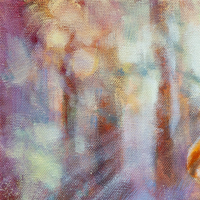 Softly blurred woodland background with pastel forest tones.