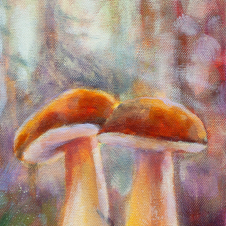Detail of two orange-capped mushrooms in soft forest light.