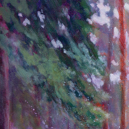 Detail of tall trees and soft light filtering through forest canopy.