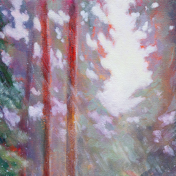 Soft glowing light breaking through forest trees, oil painting detail.