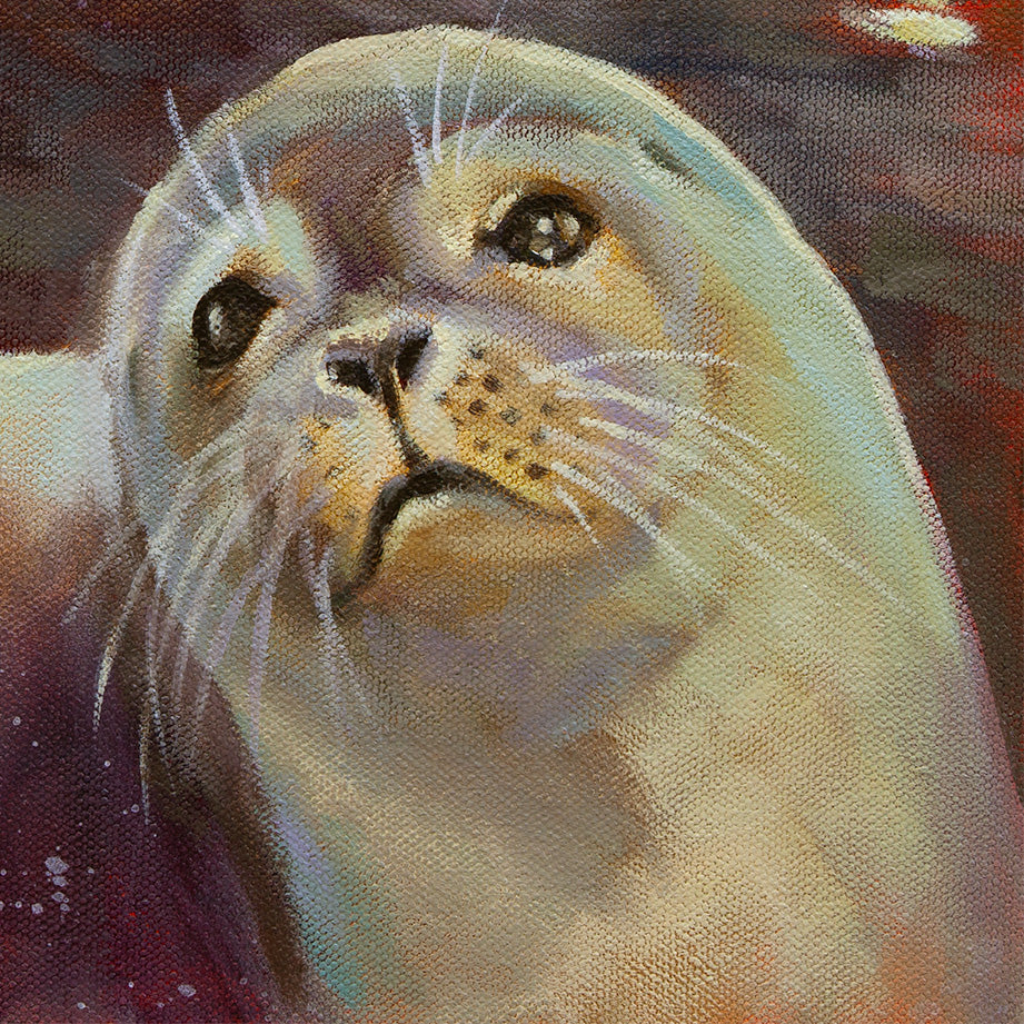 Close-up of a young seal’s face painted in soft coastal tones, with warm highlights on the whiskers and gentle teal-purple shadows, capturing curiosity and calm.
