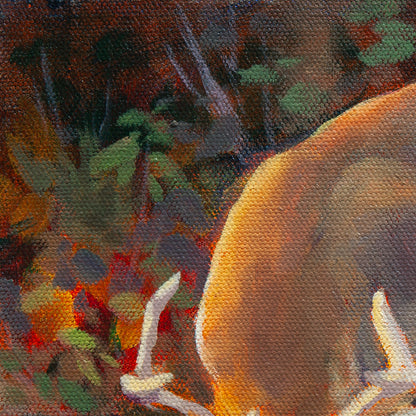 Detail of a deer’s golden-brown back in sunlight with dark brown and purple forest and twigs with green leaves from Curious Heart.