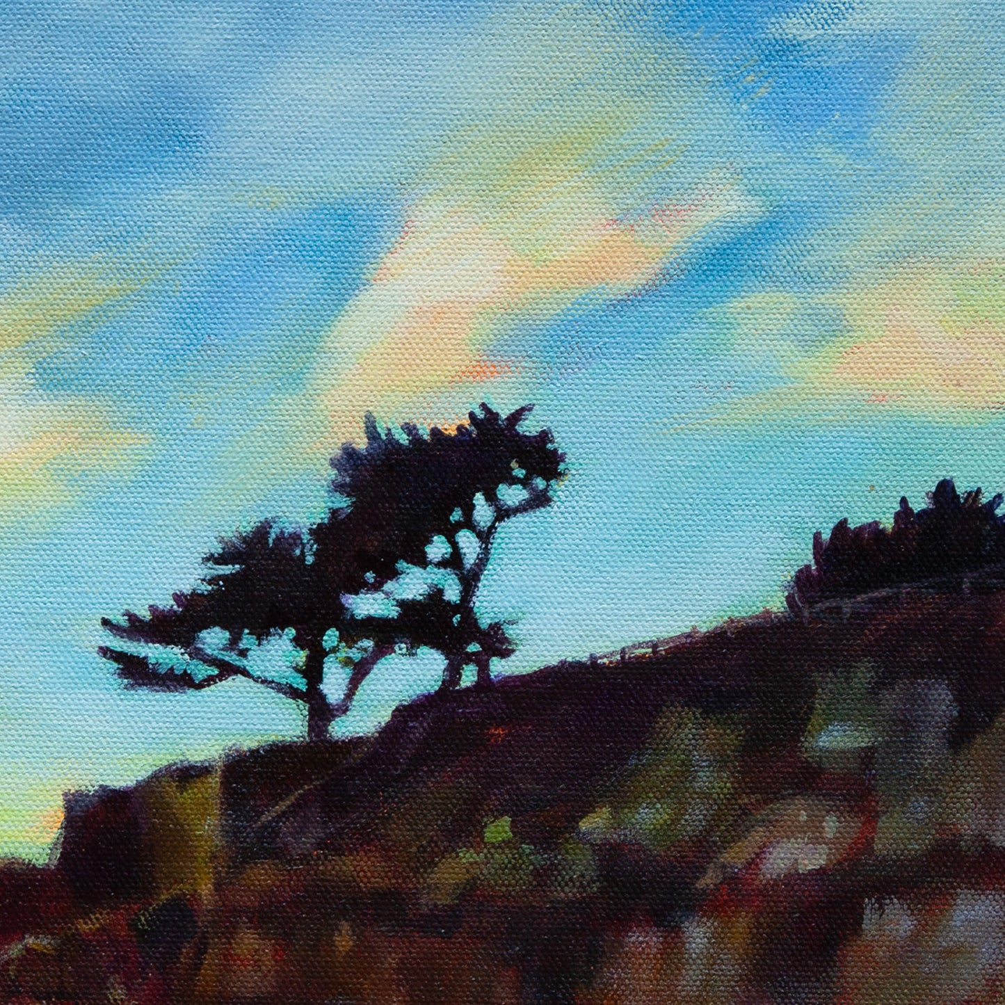 Detail of coastal cliff and windswept cypress tree near Santa Cruz lighthouse at golden hour.
