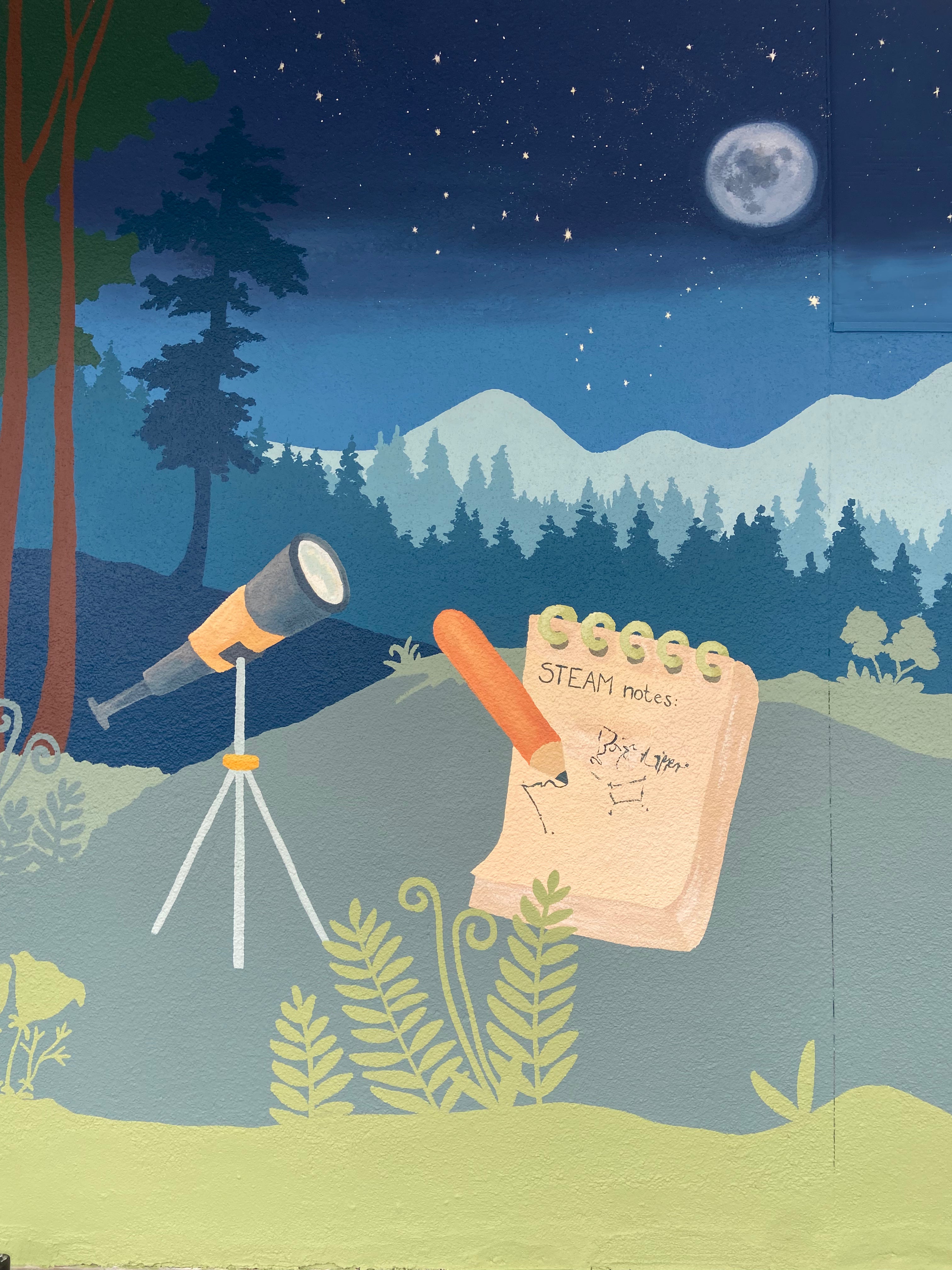 A painted night-sky scene with mountains, trees, stars, and a moon, featuring a telescope on a tripod and a notepad that reads 'STEAM notes' in the foreground.