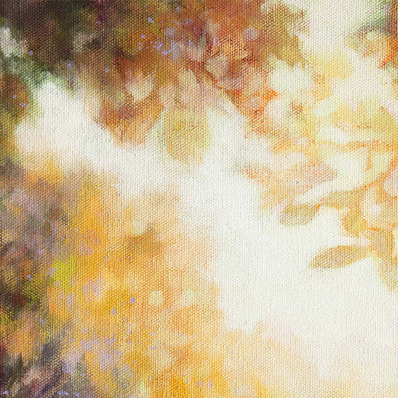 Detail of glowing leaves and warm sunlight filtering through trees.