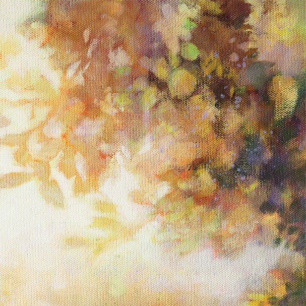 Detail of glowing leaves and warm sunlight filtering through trees.