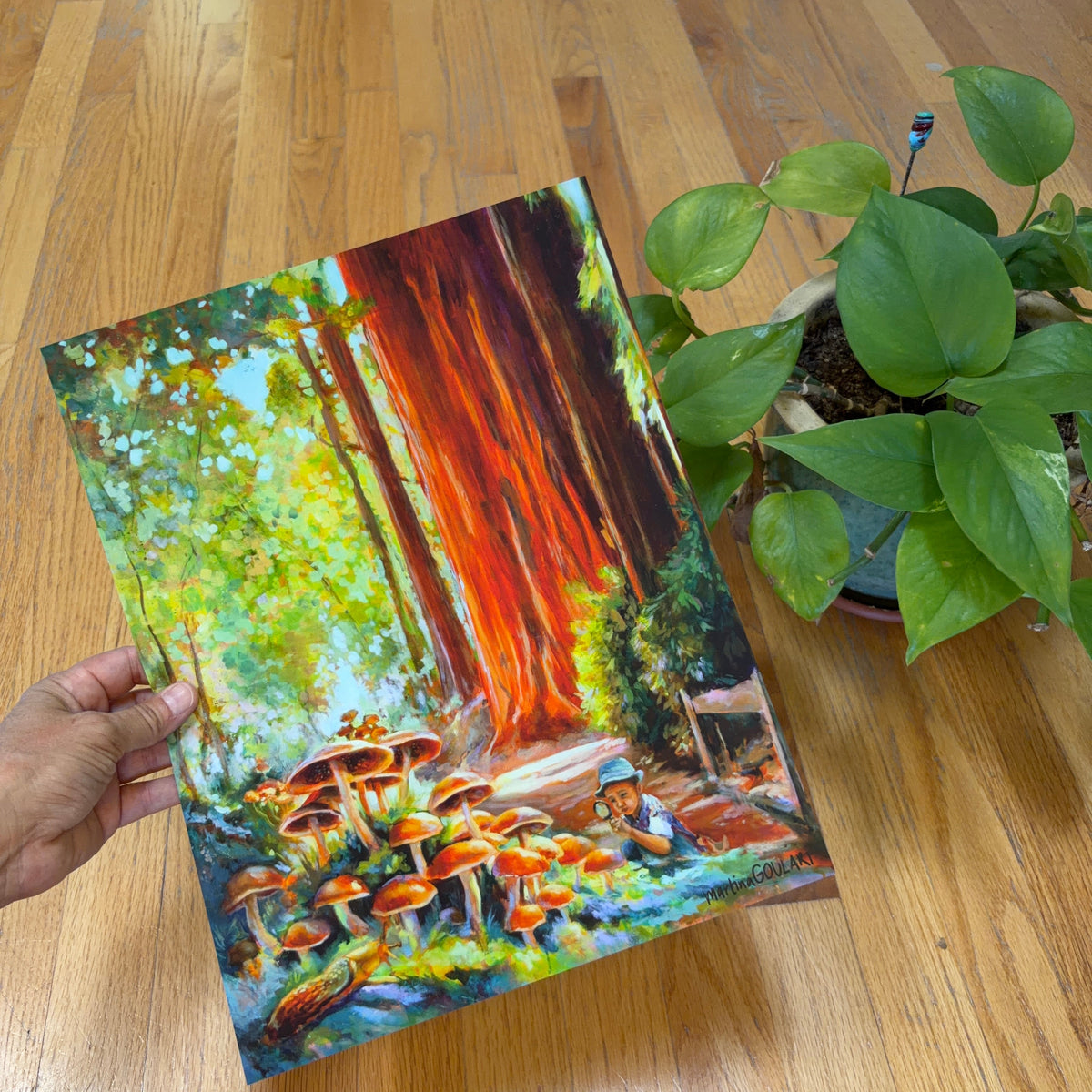 Beneath the Redwoods