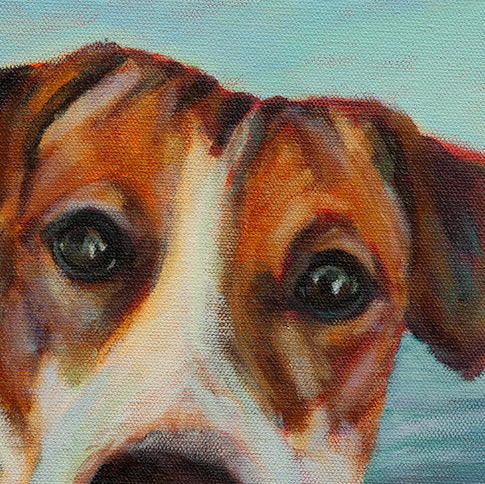 Close-up of the dog’s eyes and ears with warm orange-browns and soft pinks and yellows from Ocean Scout by Martina Goulart.