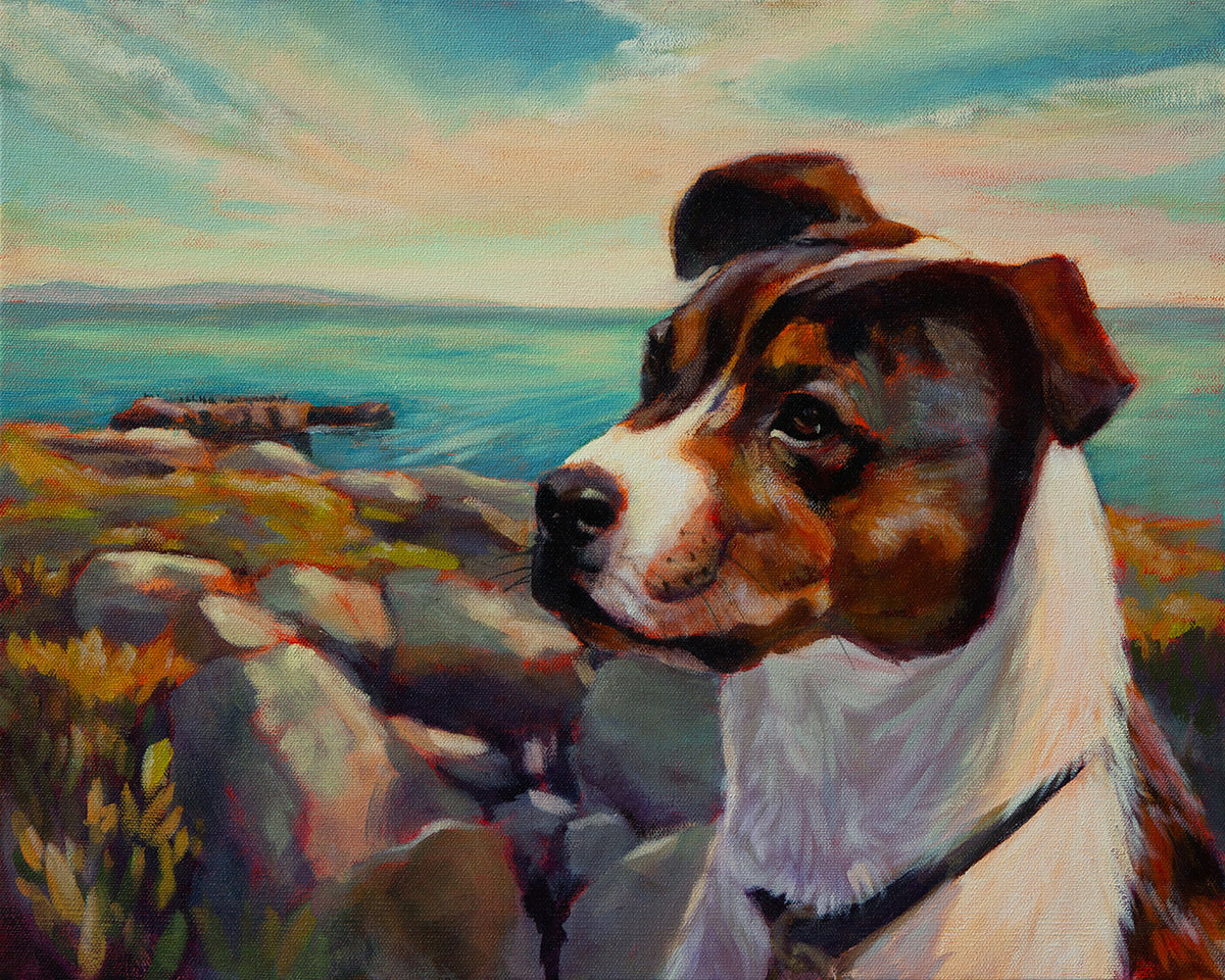 Watchful brown and white dog sitting on the rocky Santa Cruz coast with the blue ocean in the background.