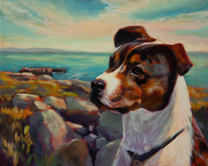 Watchful brown and white dog sitting on the rocky Santa Cruz coast with the blue ocean in the background.