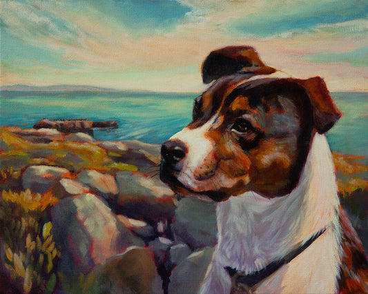 Watchful brown and white dog sitting on the rocky Santa Cruz coast with the blue ocean in the background.