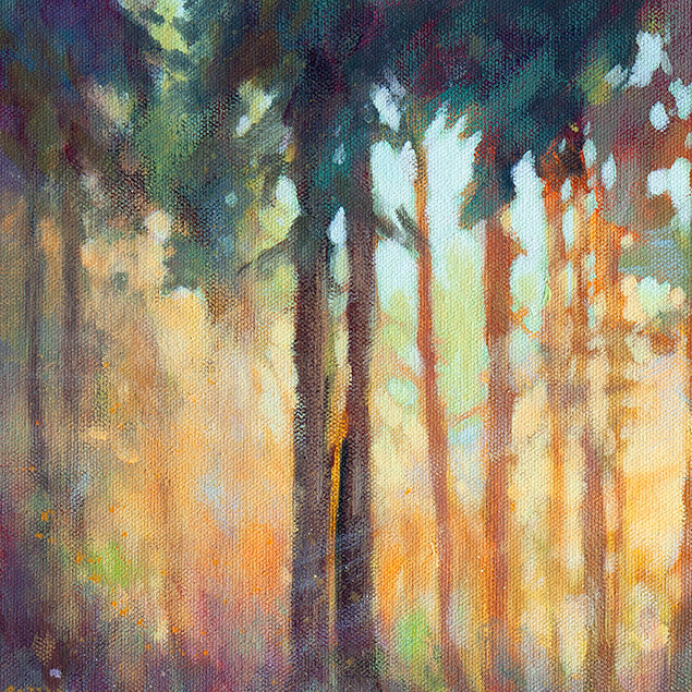 Tall trees with warm sunlight filtering through forest canopy, oil painting detail.