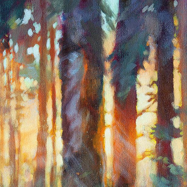 Vertical tree trunks illuminated by golden light in forest scene.