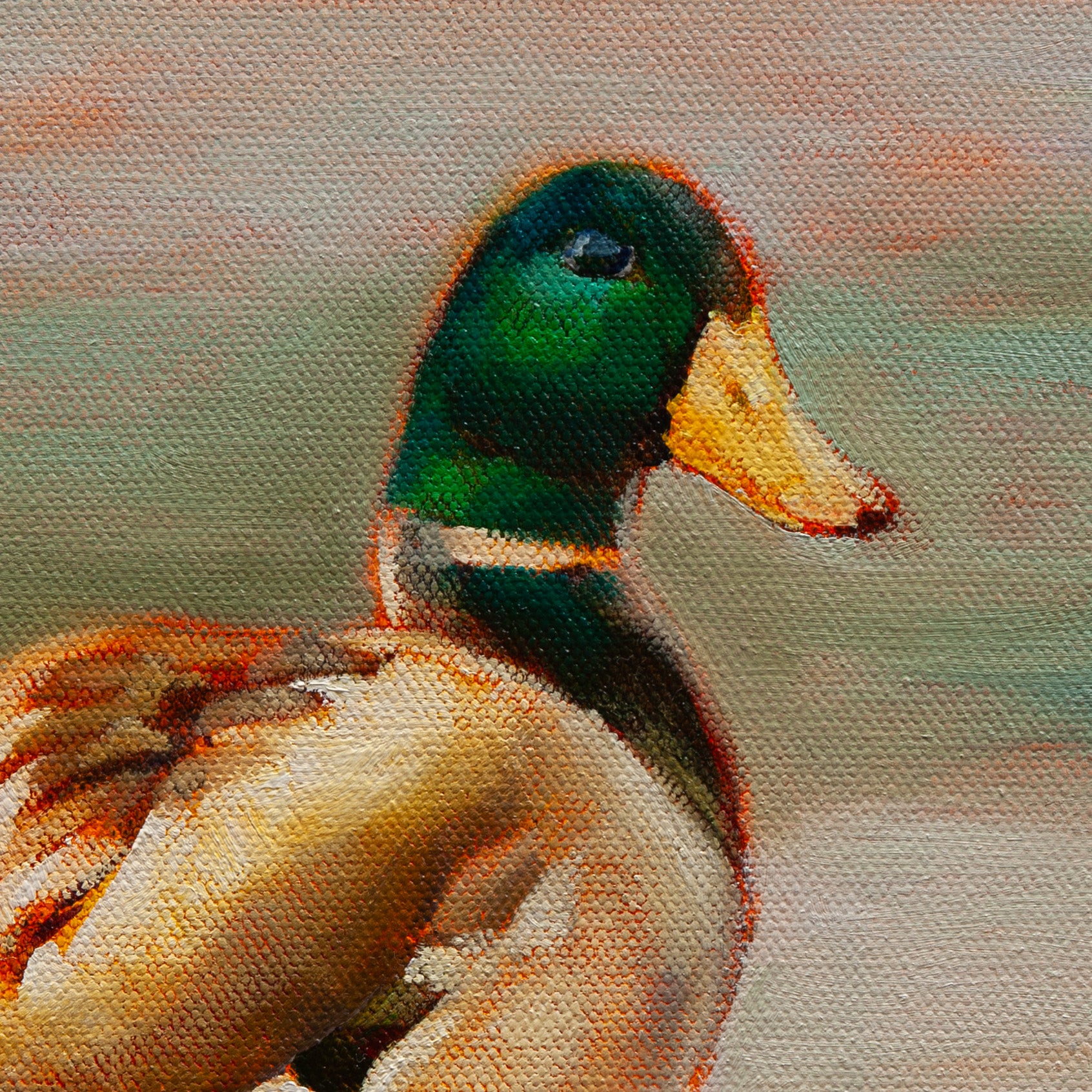 Close-up of the mallard’s shiny green head, yellow-orange beak, and brown-gold feathers from Shoreline Company, coastal artwork by Martina Goulart.