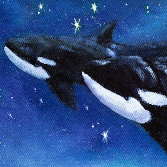 Close-up of two orcas swimming through a deep blue star-filled night sky in the coastal fine art painting The Night Swims Above Us.