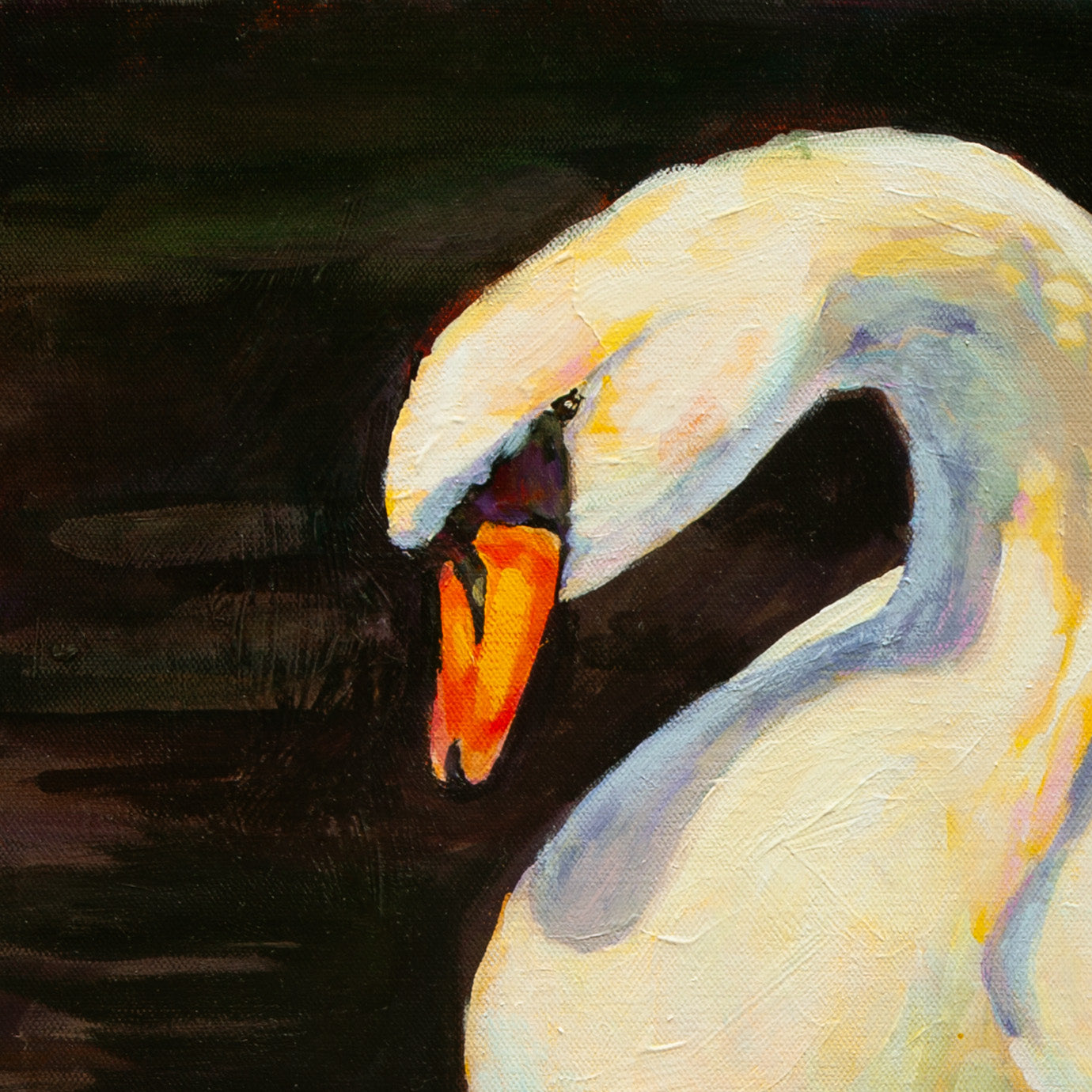 Detail of swan’s head with white feathers, yellow-orange beak, and black eye marking against a dark background from Quiet Company, Yosemite art.