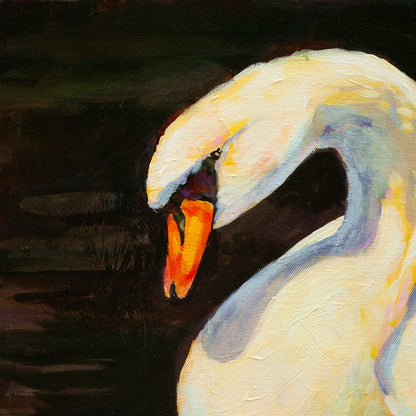 Detail of swan’s head with white feathers, yellow-orange beak, and black eye marking against a dark background from Quiet Company, Yosemite art.
