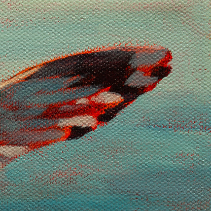 Detail of the seagull’s top wing with gray, blue, and orange strokes against teal water from Sky Meets Sea, coastal art by Martina Goulart.