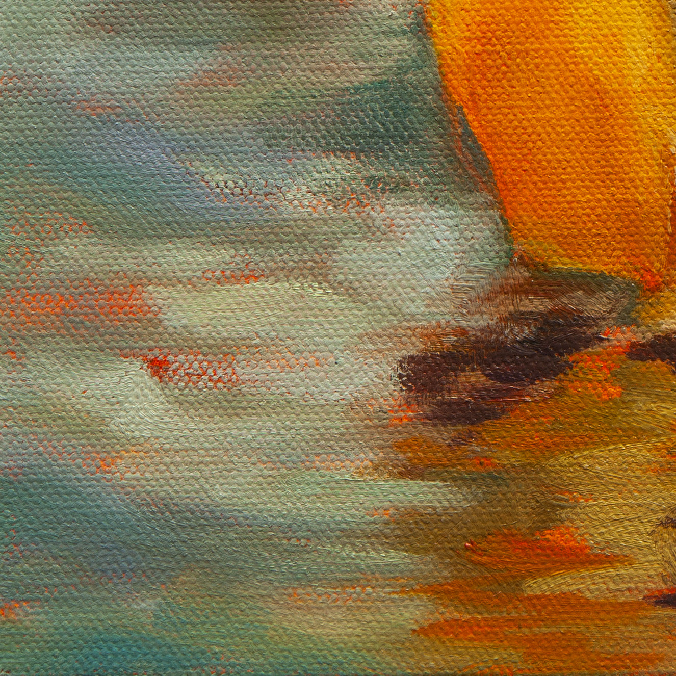 Close-up of the seal’s golden belly and sunlight reflections in teal, gold, and blue water from Balancing Act by Martina Goulart.