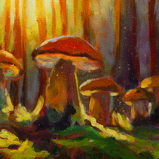 Detail of mushrooms growing on the forest floor, illuminated by warm light filtering through the trees, with soft green moss and earthy textures.
