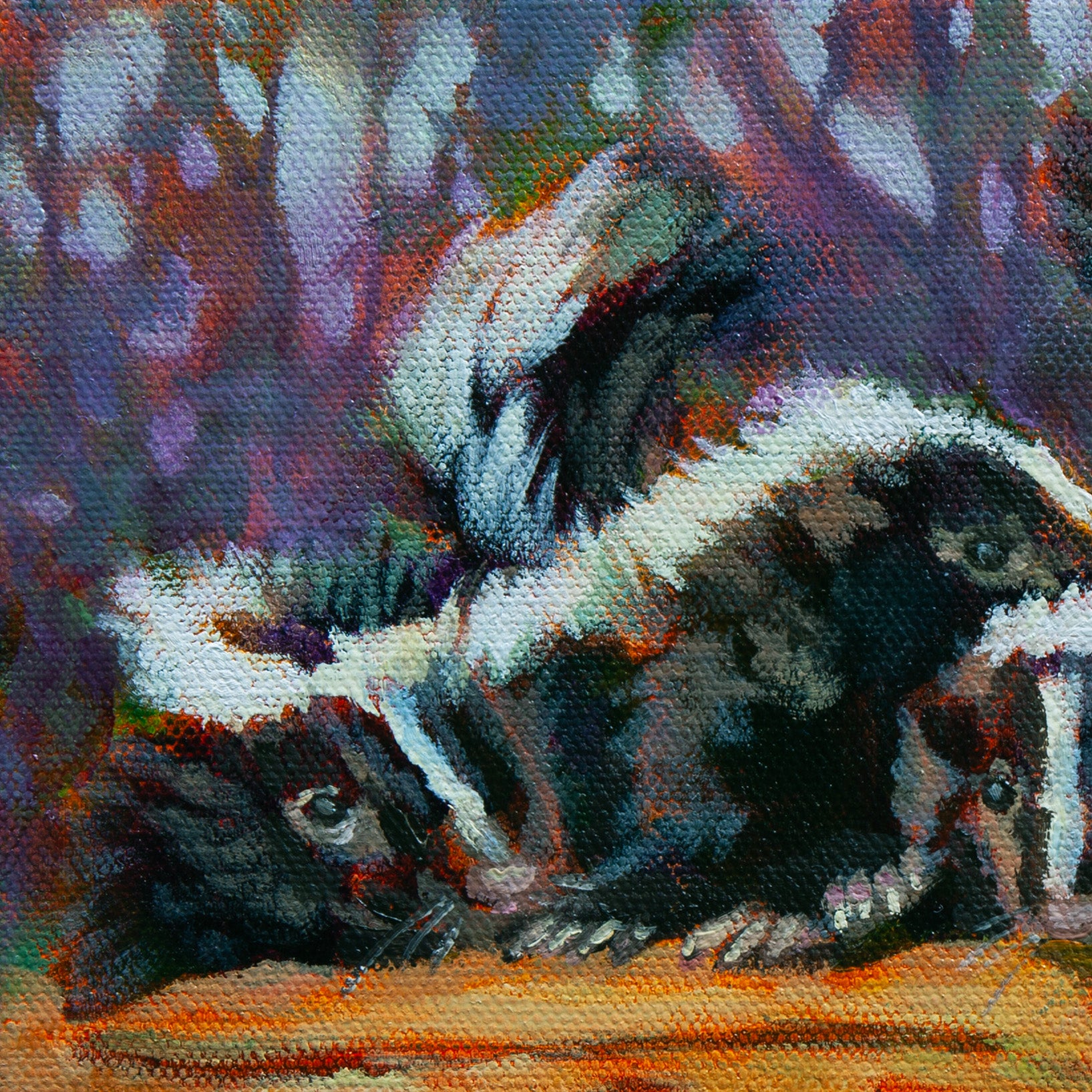 Close-up of a black-and-white skunk on an orange log with soft purple forest background from Above and Unaware by Martina Goulart.