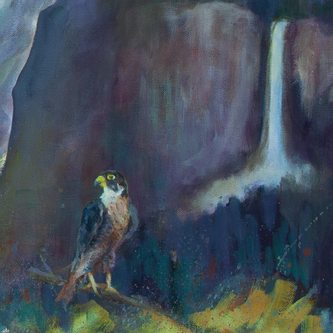 Close-up of peregrine falcon perched on branch before waterfall and purple-brown cliffs with green trees from The Ones Who Came to Fly.