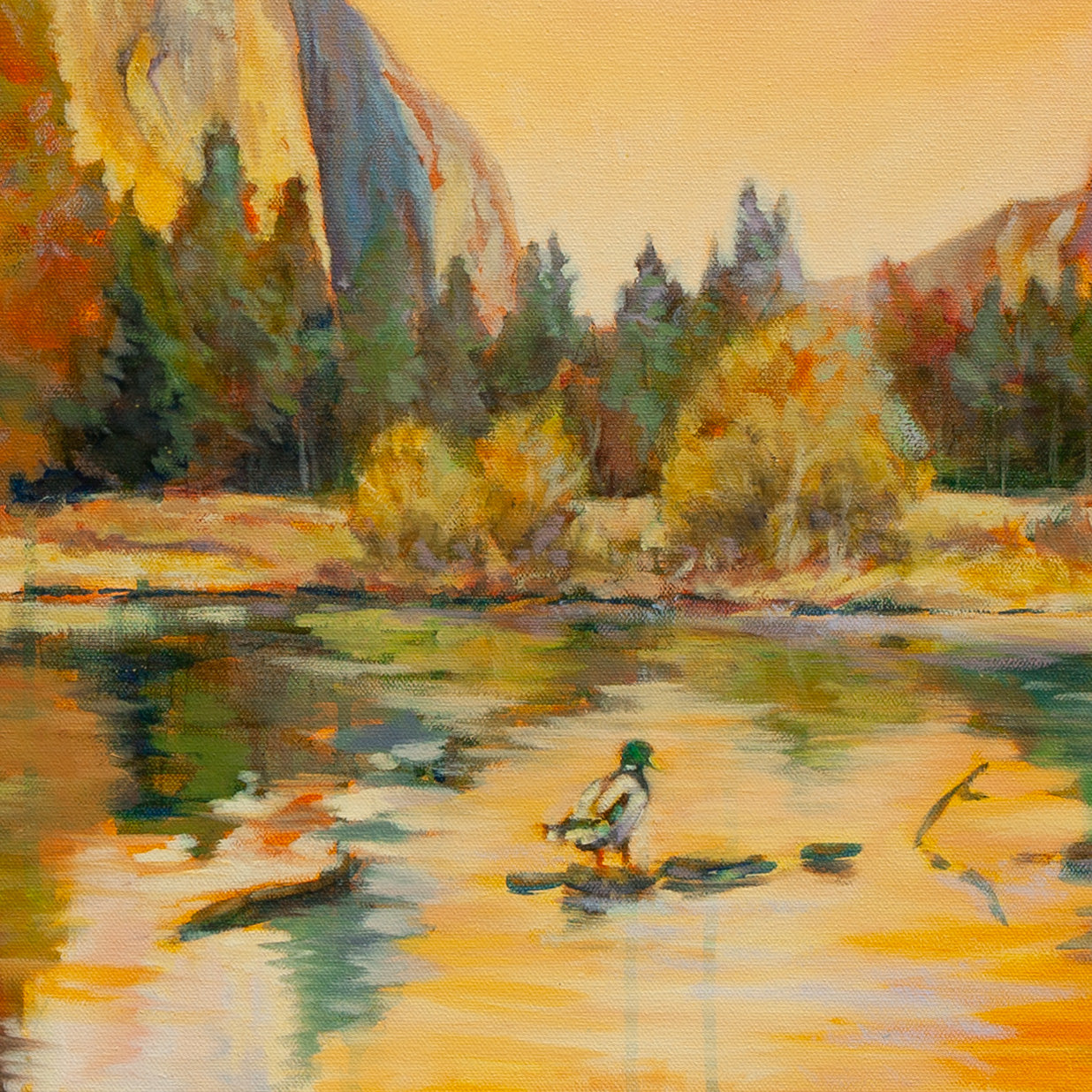 Detail of mallard duck resting on log in sunlit river with yellow-green trees, El Capitan cliffs, and orange reflections from The Peace of Play.