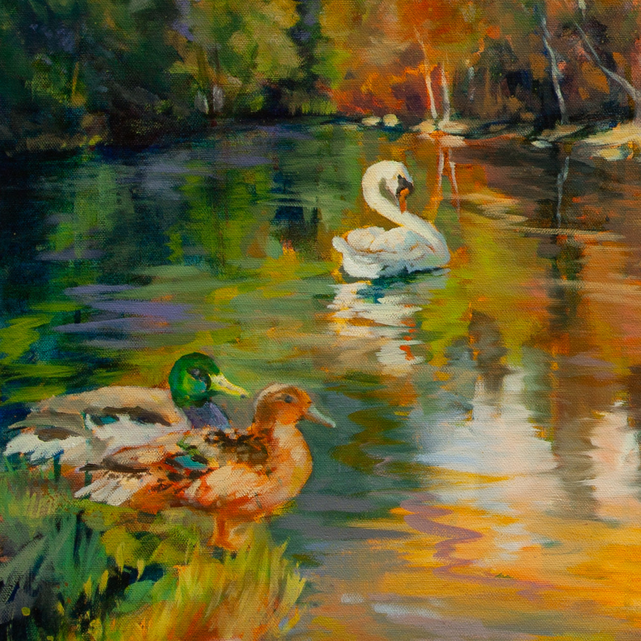 Close-up of two mallards and a swan gliding on river with reflections of green, yellow, and orange tones from The Peace of Play, Yosemite painting.