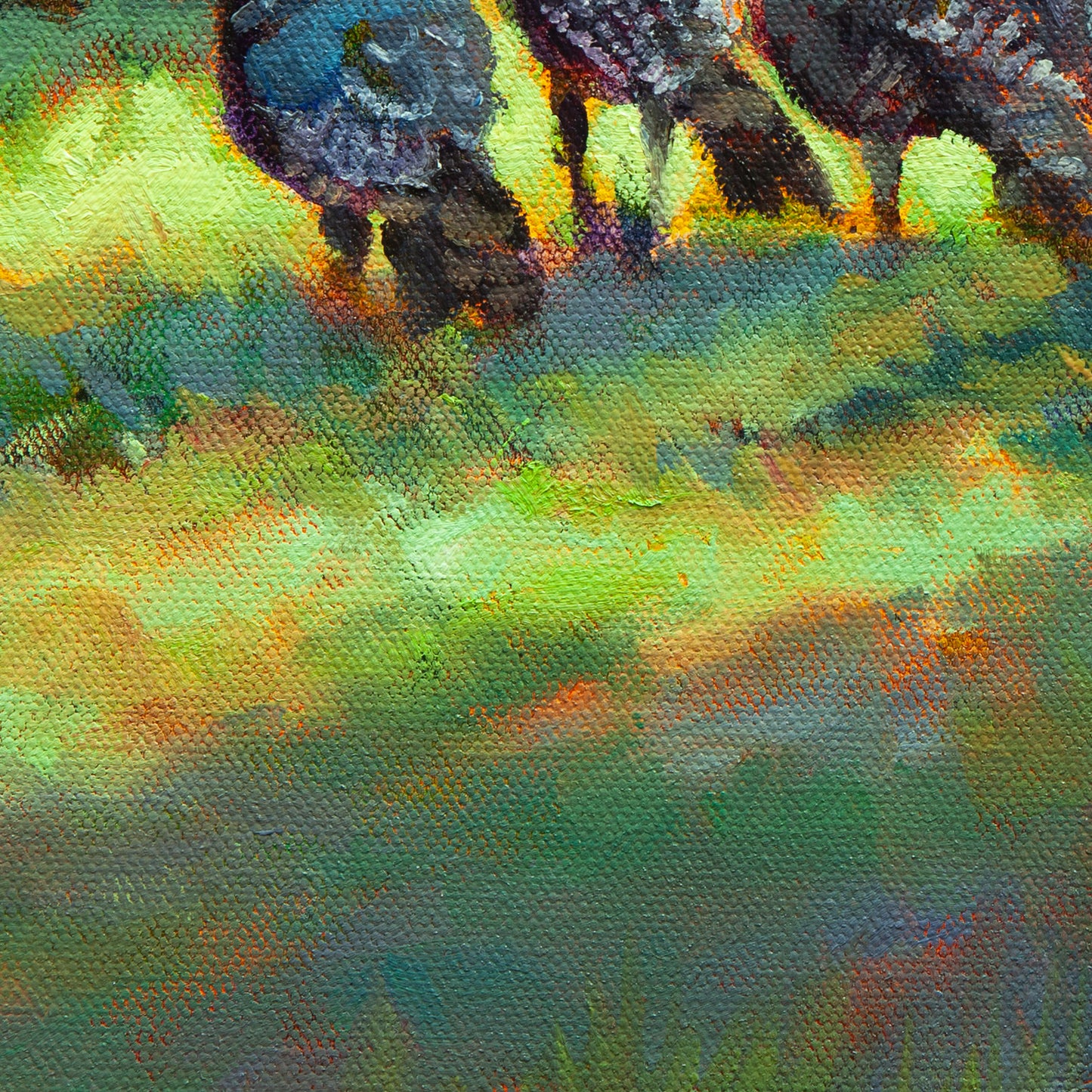 Detail of warm yellow-green grass in sunlight and blue-green grass in shadow with turkeys’ feet from Sun March, by Martina Goulart.