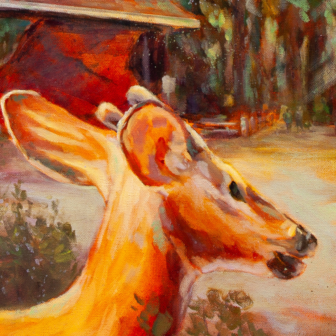 Close-up of deer with orange-gold fur and soft brown tones standing on a sunlit tan forest path with trees in the background from Walking the Dog.