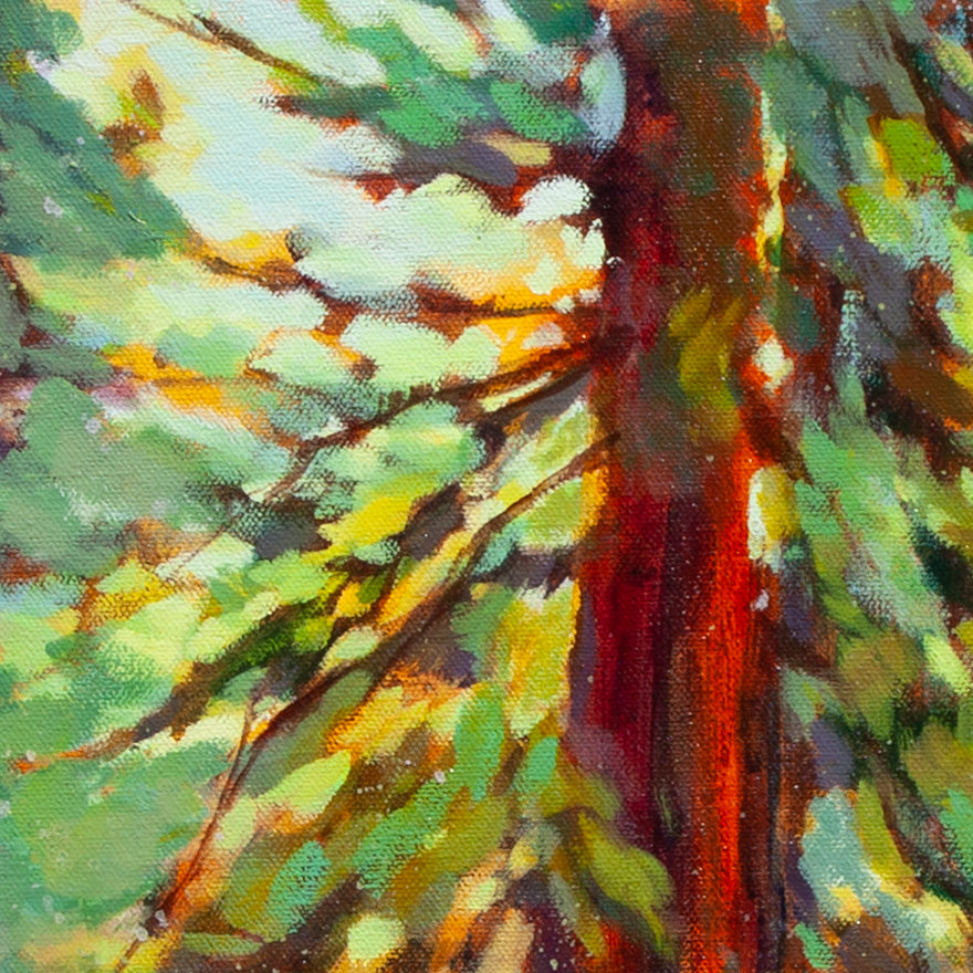 Close-up of redwood trunk in red-brown tones with green and yellow leaves and sunlight filtering through from Walking the Dog, forest artwork.