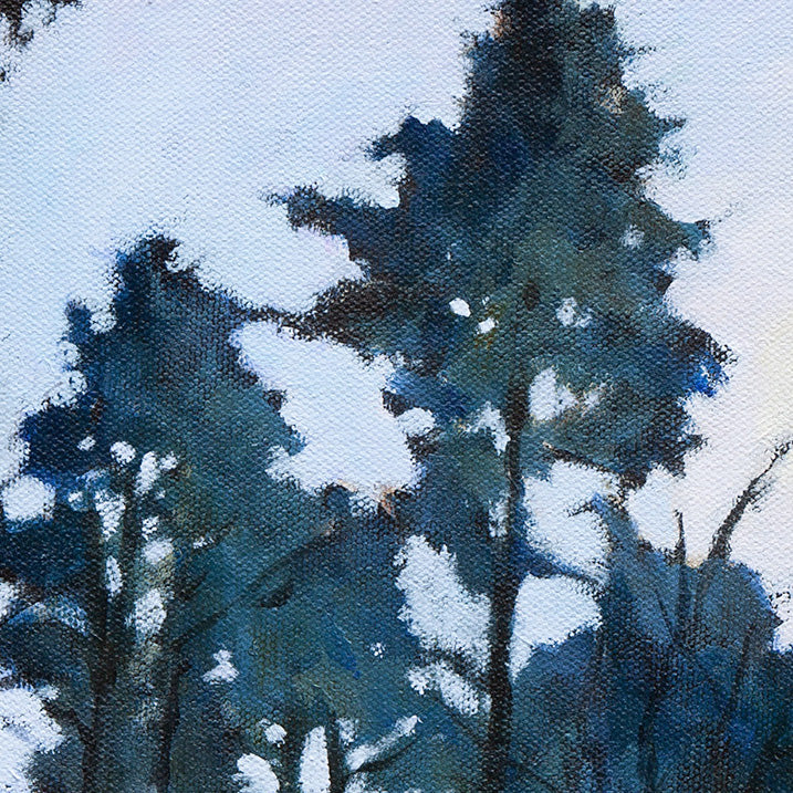 Detail of tall trees silhouetted against pale evening sky.
