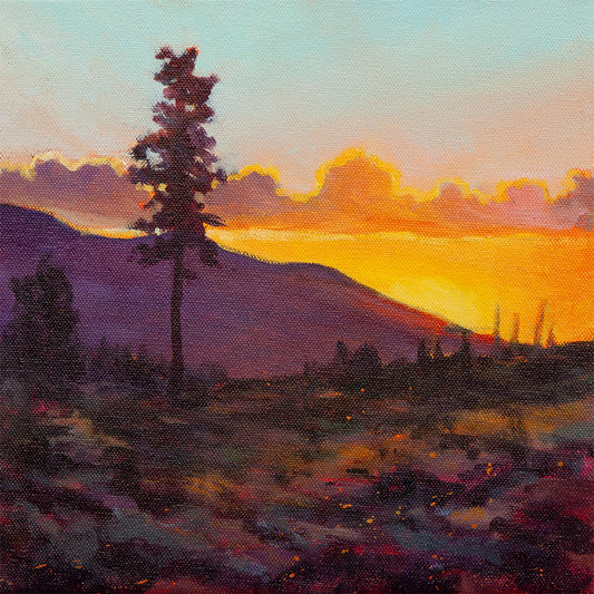 warm sunset landscape with soft sky and distant horizon, northern California inspired, oil painting