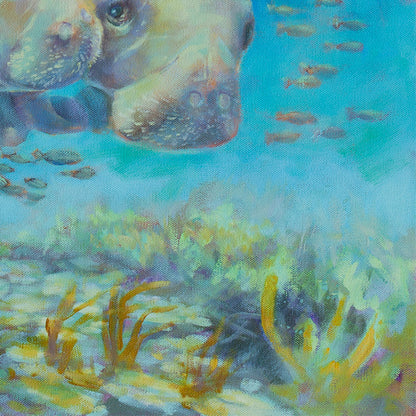 Close-up detail of a manatee surrounded by small fish in clear blue water, original wildlife oil painting focused on gentle movement, presence, and connection to nature.