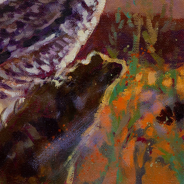 Owl perched on branch detail, textured feathers and colorful abstract ground in sunset light