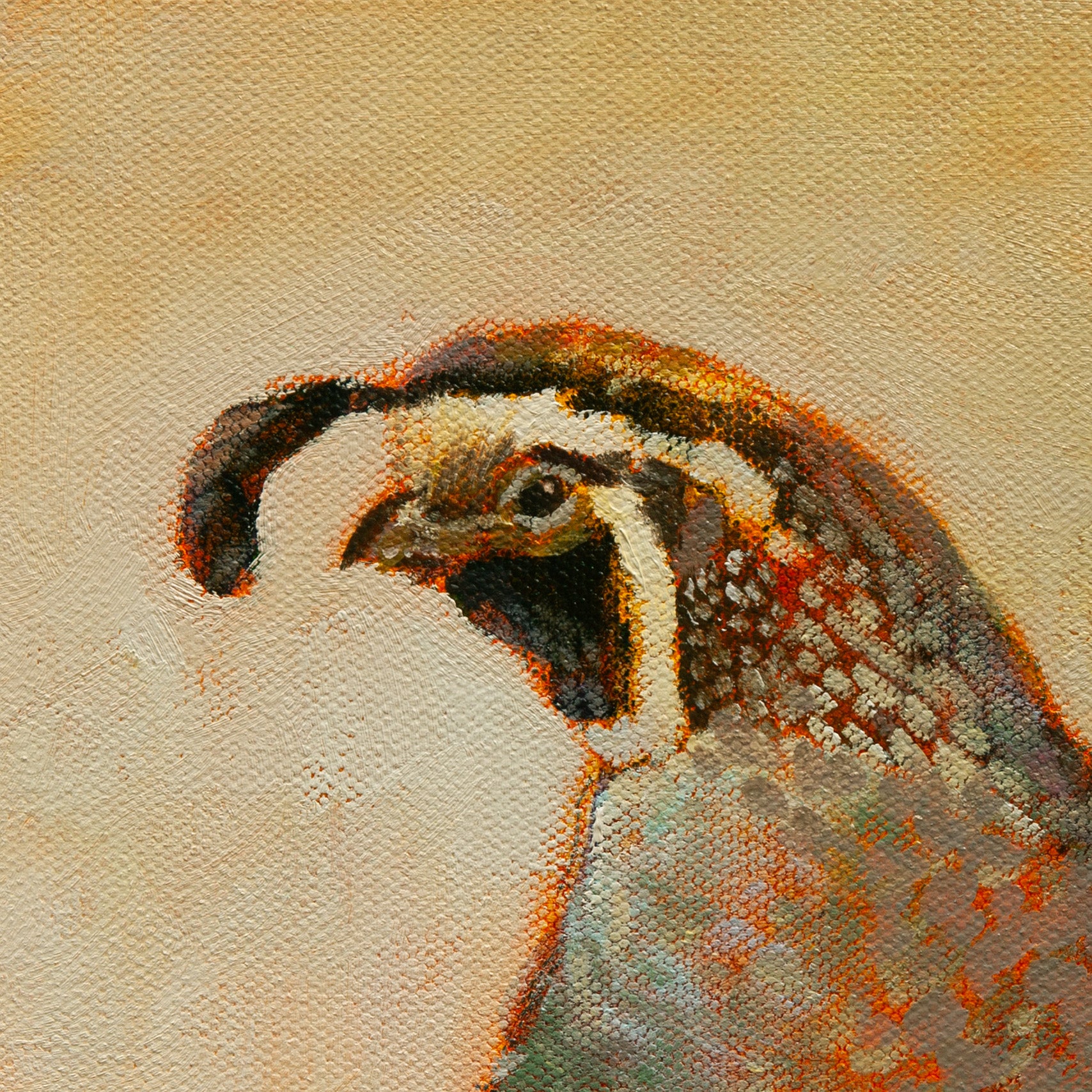 Close-up of a quail’s head in golden-brown and soft white tones with orange accents and tan background from Side by Side, wildlife art