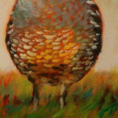 Detail of a quail’s lower body with cool gray, gold-brown, and orange feathers in golden grass from Side by Side by Martina Goulart.