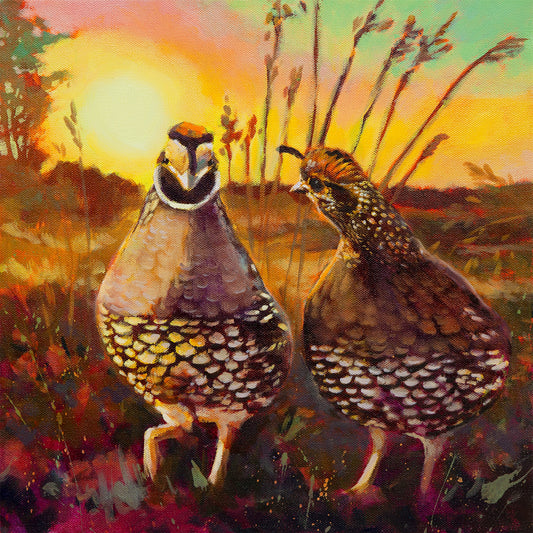 pair of quail birds walking together at sunset, Santa Cruz Mountains wildlife, oil painting
