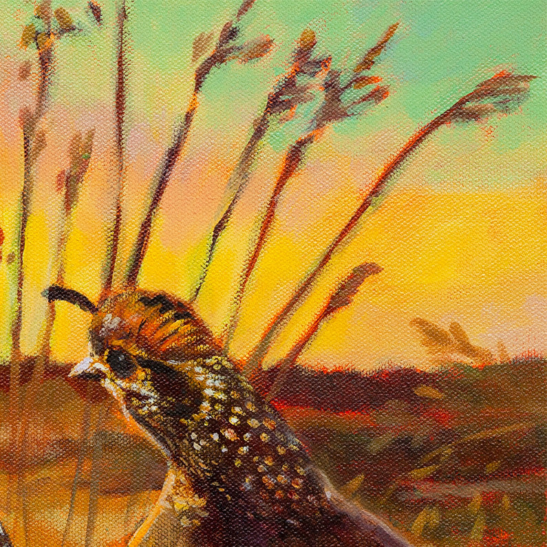 pair of quail walking together in warm landscape, Santa Cruz Mountains wildlife scene, oil painting detail
