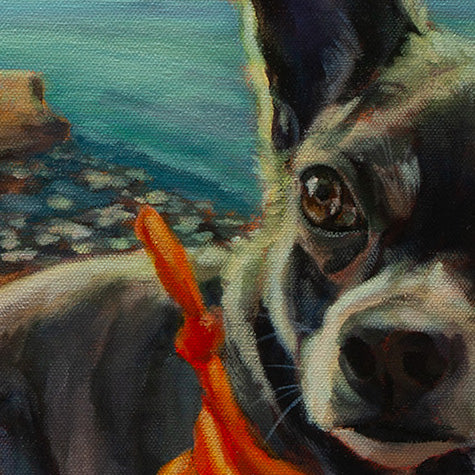 Close-up of the dog’s nose, eye, and side in sunlight from the West Cliff Santa Cruz painting Picture Perfect by Martina Goulart.