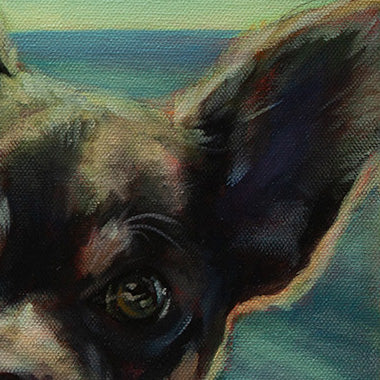 Detail of the dog’s right eye and ear from the original Santa Cruz coastal dog painting Picture Perfect by Martina Goulart.
