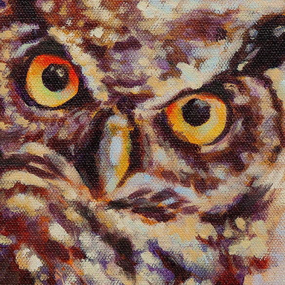 Owl face close-up with bright eyes and detailed feathers, direct gaze in warm sunset sky