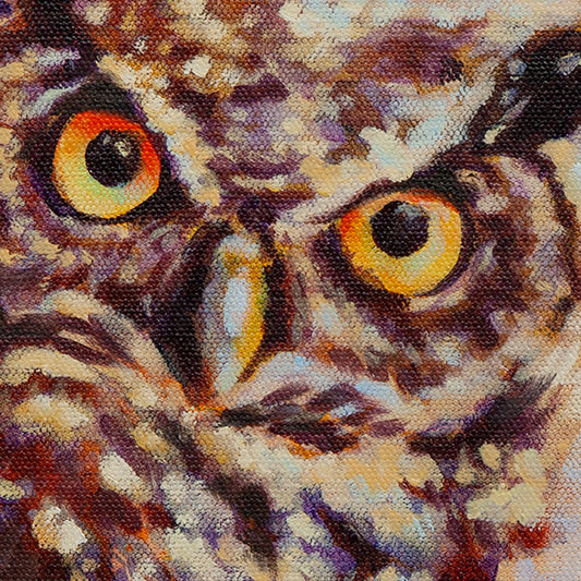 Owl face close-up with bright eyes and detailed feathers, direct gaze in warm sunset sky