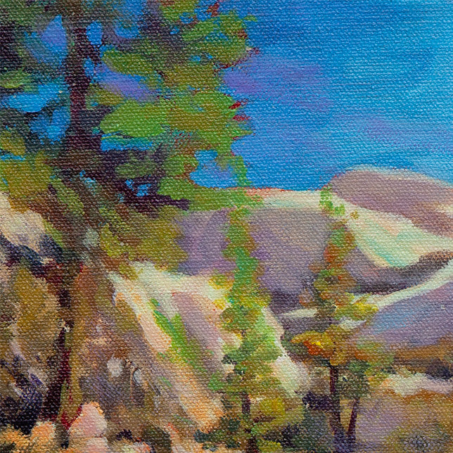 pine trees and granite landscape near Tenaya Lake Yosemite, mountain scenery, oil painting detail
