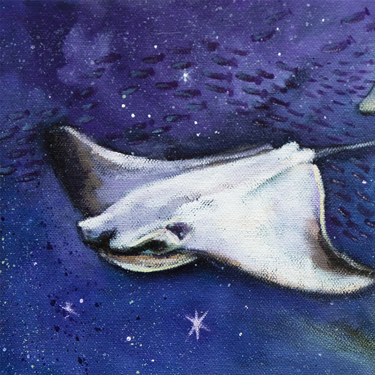 Close-up of a white stingray swimming through a deep purple night sky in the marine life painting Currents of the Night.