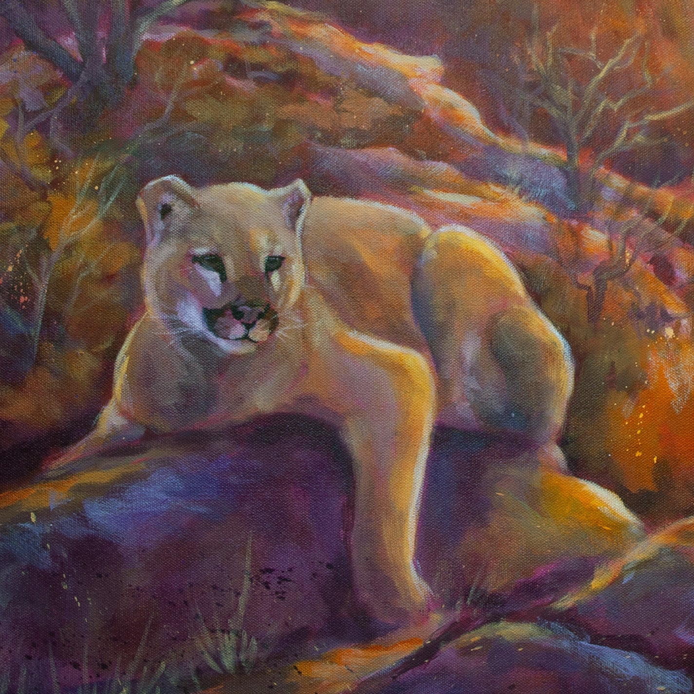 Close-up of mountain lion with orange fur surrounded by warm rocks in orange and purple tones from Belonging, wildlife painting by Martina Goulart.
