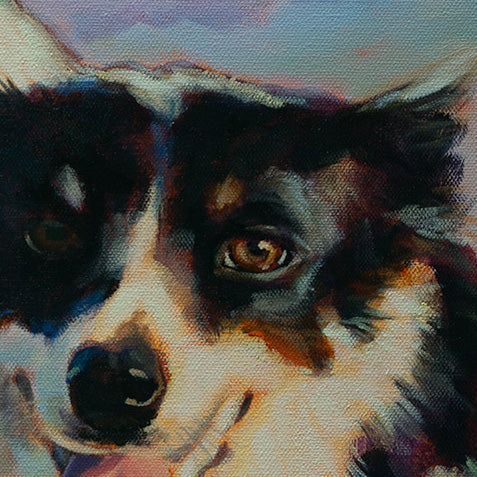 Detail of the black and white dog’s face from the original coastal dog painting Freedom at Its Beach by Martina Goulart.